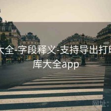 图库大全-字段释义-支持导出打印，图库大全app