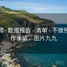 99图库- 数据报告 - 清单 - 不做预测不作承诺，图片九九